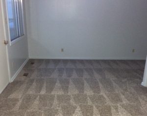 argyle living room website