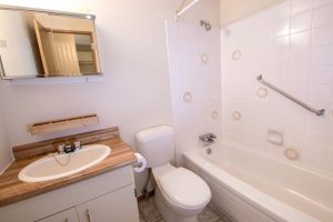 Woodhaven 201 B Bathroom 2