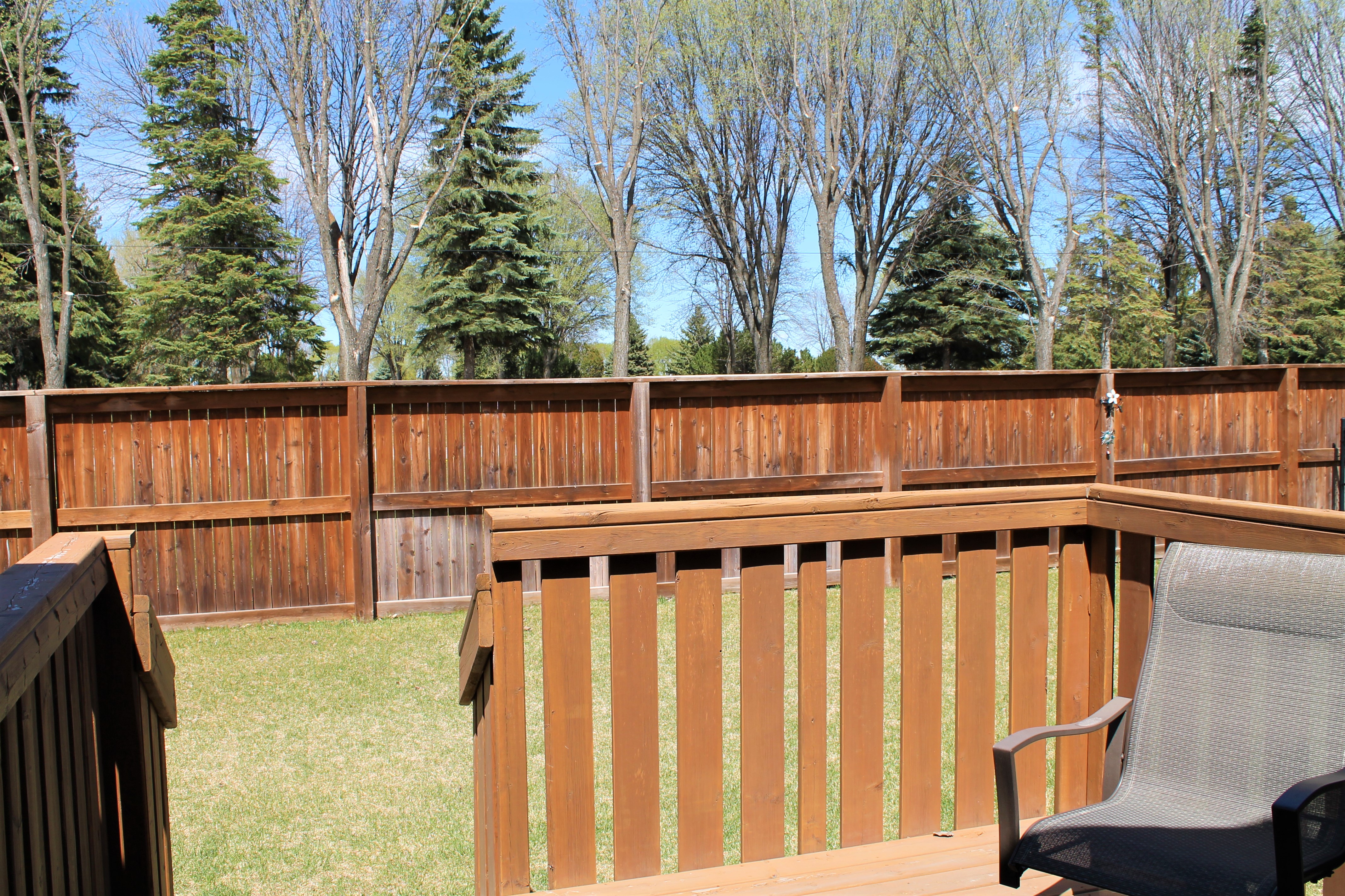 27 White Ash yard