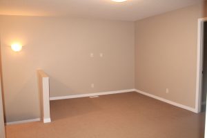 24 White Ash bonus area