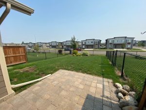 25 birchwood back yard
