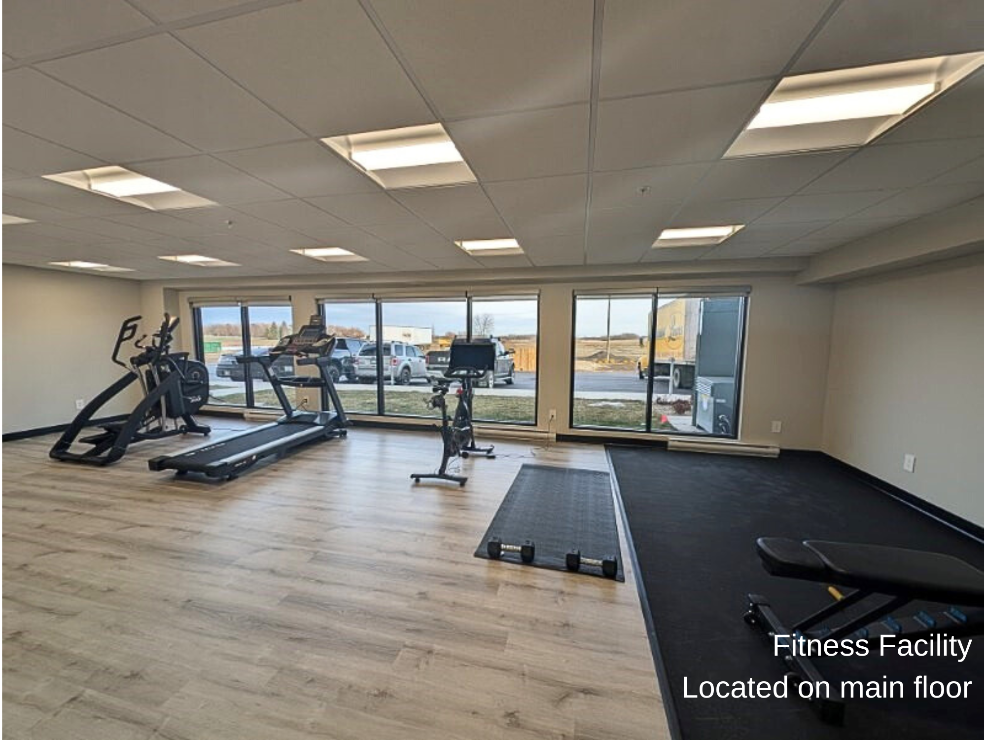 The Edge, Fitness Facity, Website with Text