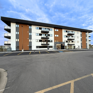 Untitled design - 2025-08-26T162943.654