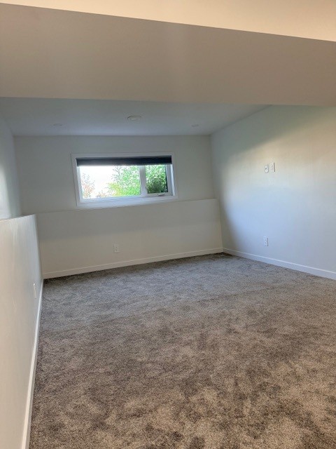 Hanlon Basement
