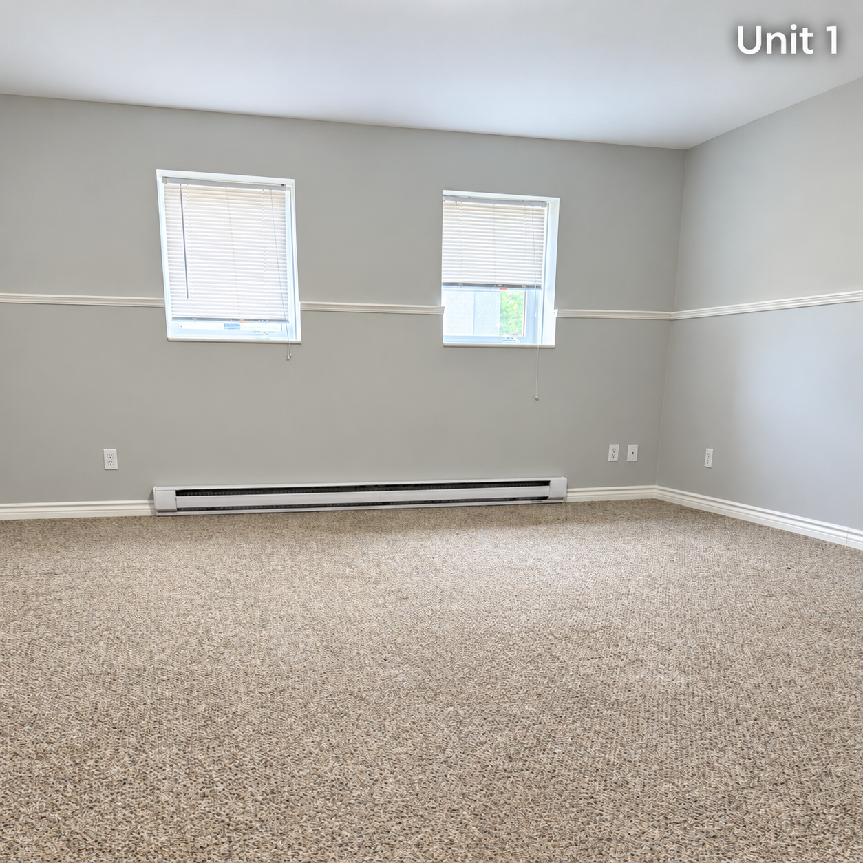Natural rental living room, Unit 1